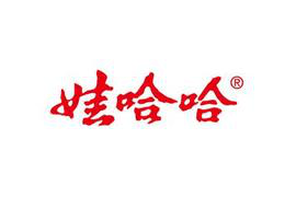 杭州娃哈哈集团公司